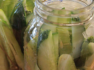 Dill Pickle Appetizers